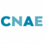 Classificação Nacional de Atividades Econômicas