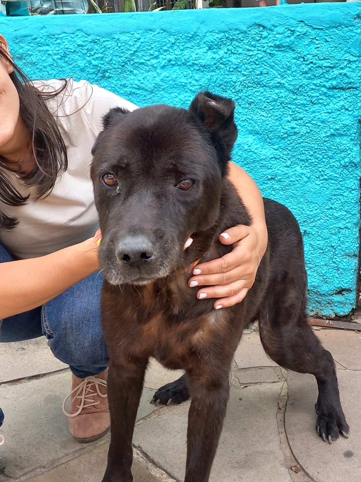 Chico aparece de pé na foto