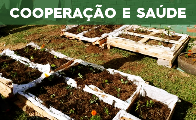 Caixas de terra com as verduras plantadas