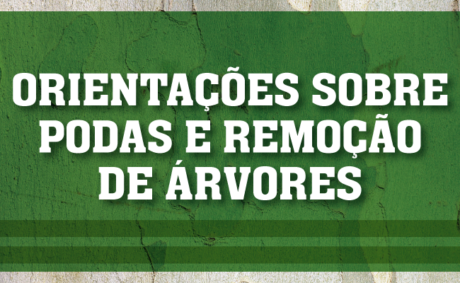 Em um fundo verde, escrito em branco "orientações sobre podas e remoção de árvores"