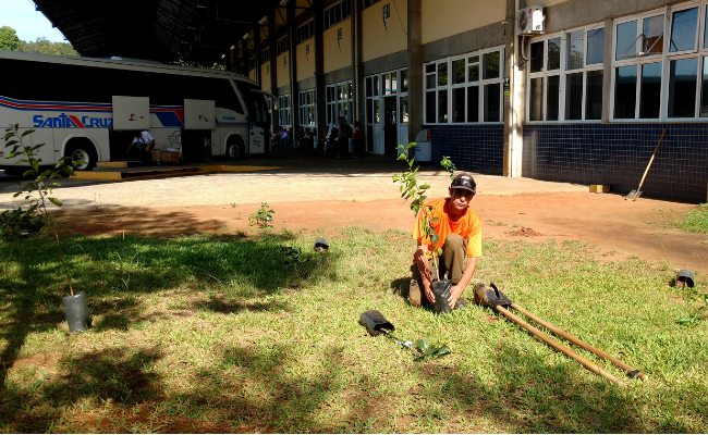 Em uma área de grama, um homem planta uma árvore