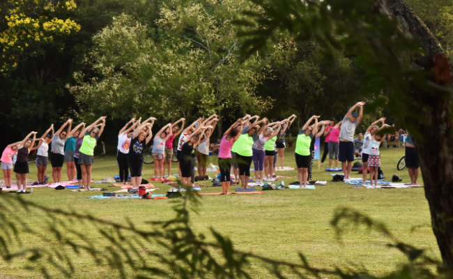 No parcão, em um grande área verde, grupo de pessoas lado a lado praticam exercício