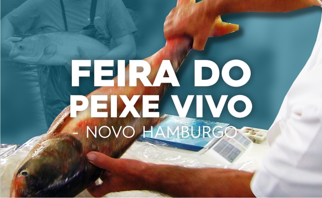 Um homem com avental branco segura um peixe. Em cima, escrito Feira do Peixe Vivo