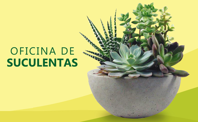 Escrito "oficina de suculentas" à esquerda e a direita um vaso de plantas