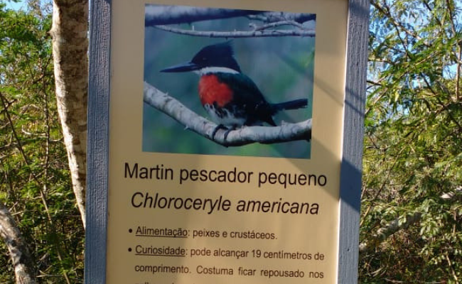 Placa de identificação com a imagem de um Martin Pescador no formato retangular