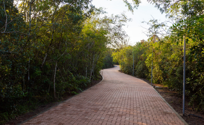 Trilha em bloco de concretos no centro e vegetação aos lados