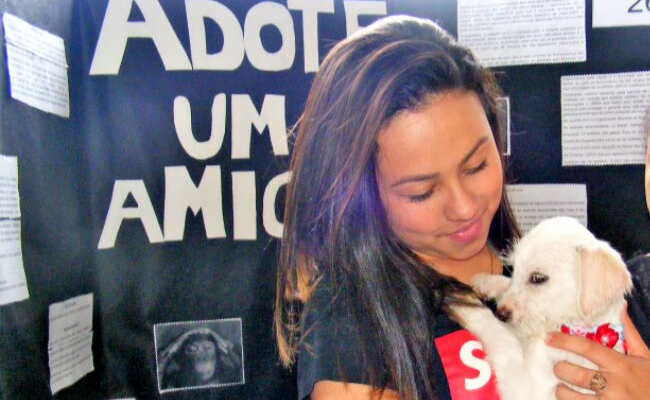 Menina com um cachorro no colo em um dos estandes da feira