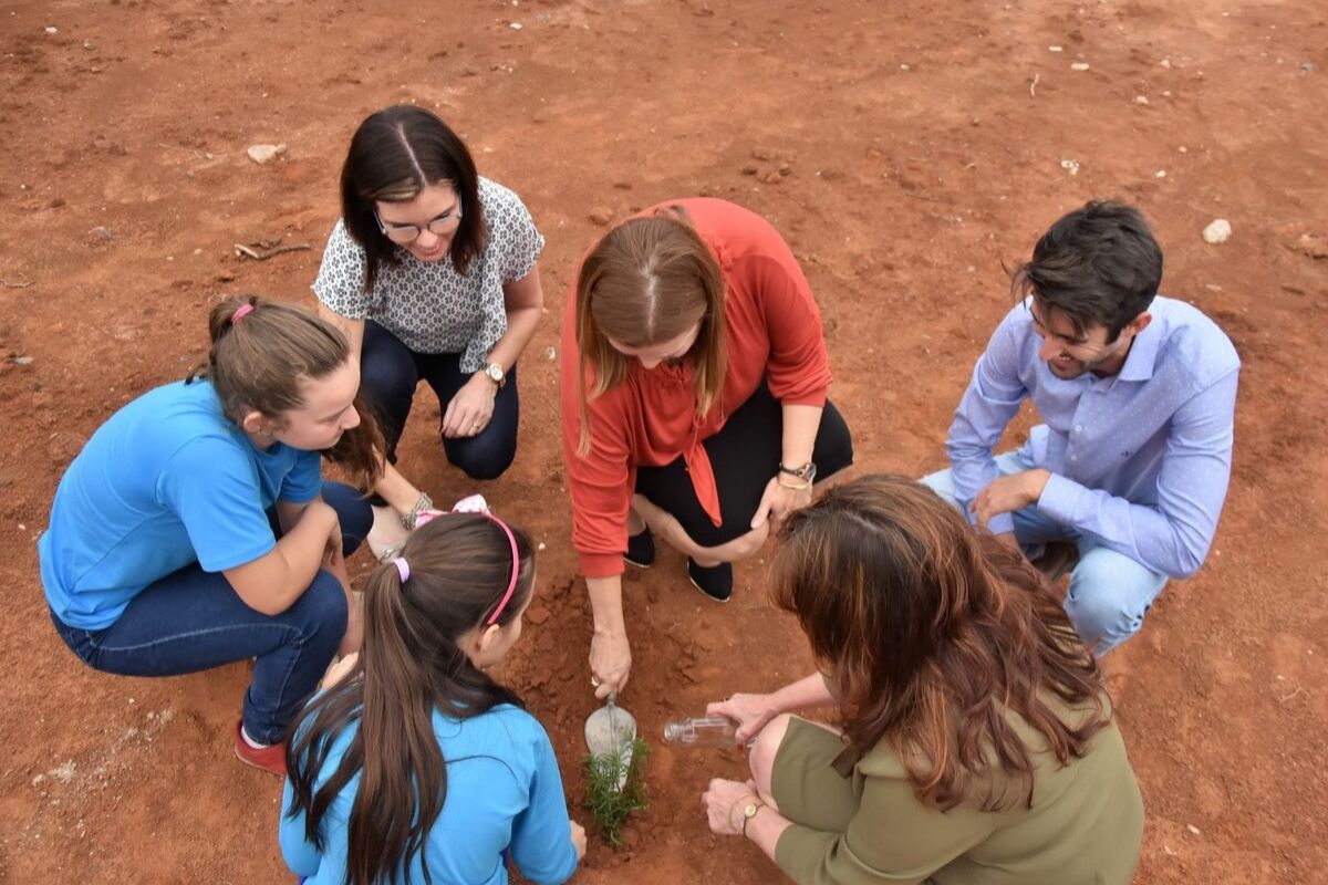 Em uma área com terra, cinco mulheres e um homem abaixados plantam uma planta 