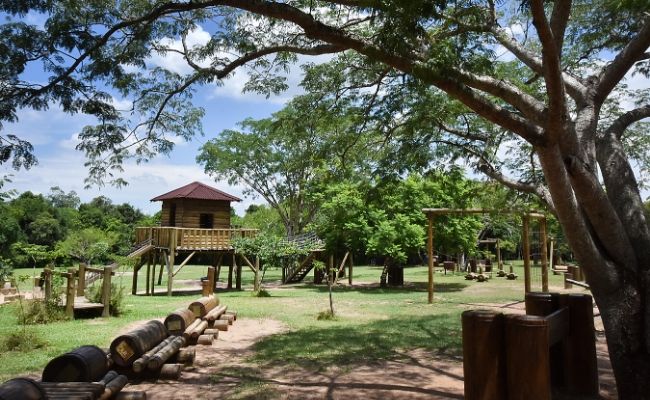 Área verde com brinquedos e uma trilha no meio