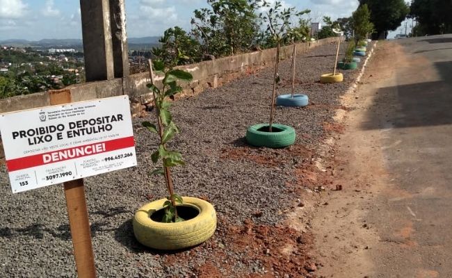A imagem mostra um terreno com pneus com árvores plantas e uma placa de proibido colocar lixo
