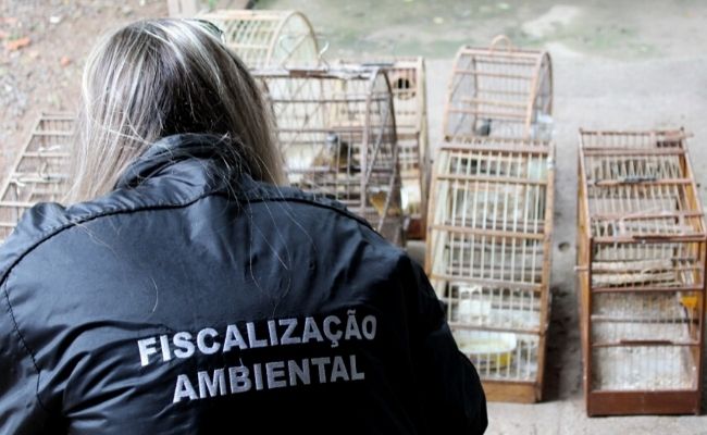 teste