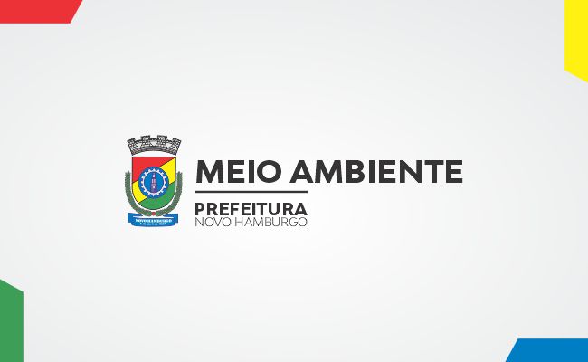 teste