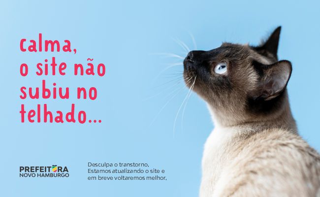 teste