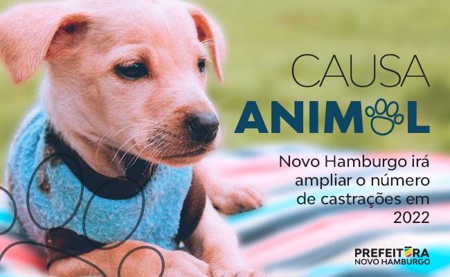 teste