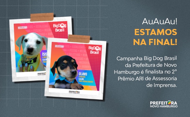 teste
