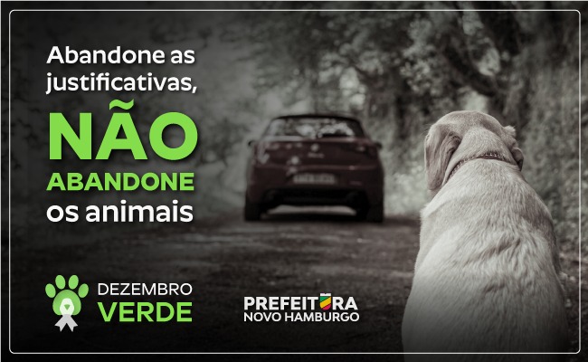 teste