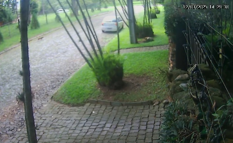Momento em que o homem abandona o cachorro e vai embora