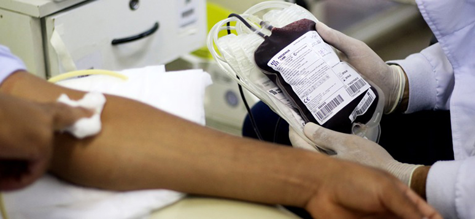 Uma única doação pode beneficiar até quatro pessoas