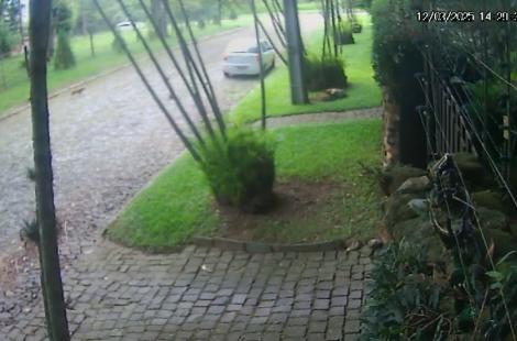 Momento em que o homem abandona o cachorro e vai embora
