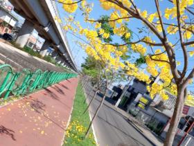 Ciclovia Novo Hamburgo