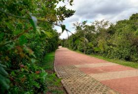 Parcão Trilha Ecológica Pavimentada
