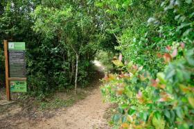 Parcão Trilha Ecológica